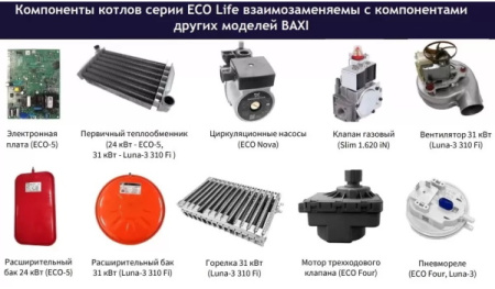 Котёл газовый Baxi Eco Life 1.24F 7814105