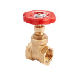 Задвижка клиновая вн-вн 3/4" MVI Premium — фото