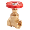 Задвижка клиновая вн-вн 1/2" MVI Premium — фото